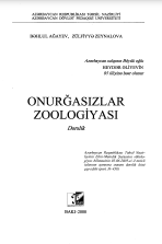 Onurğasızlar zoologiyası